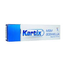 KARTIX MSM-BOSWELLIA KREM 100 ML