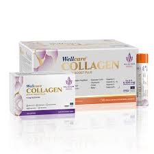 WELLCARE KOL. F.UZUMU PORT. 30TUP