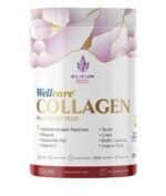 WELLCARE KOLAJEN NAR AROMALI TOZ